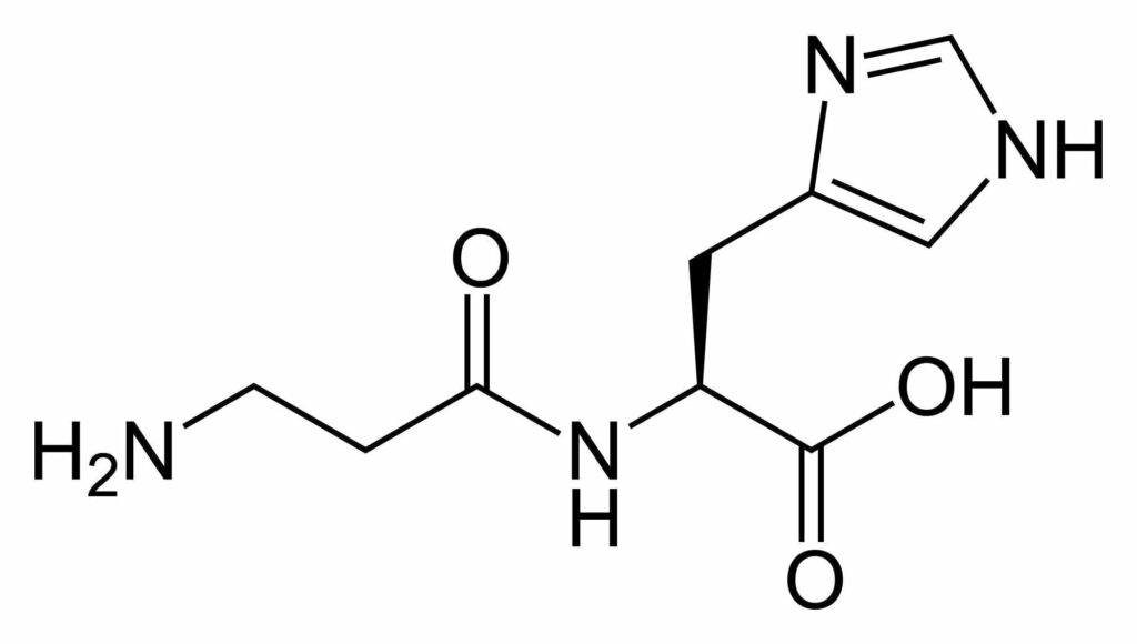 carnosine